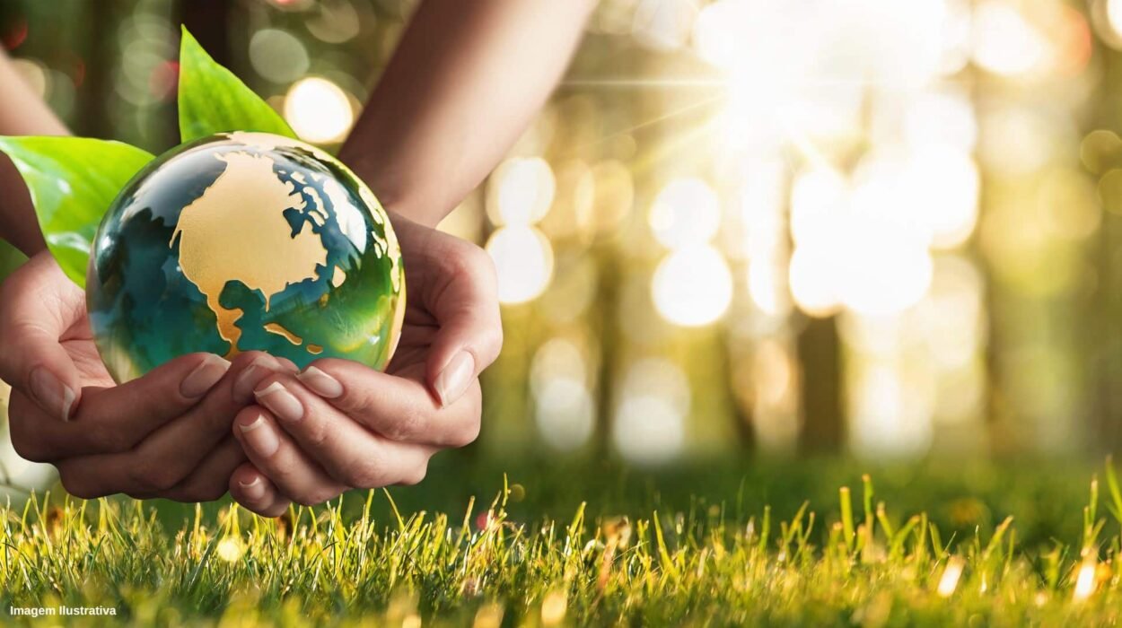 emerenciano cruz advogados, direito ambiental